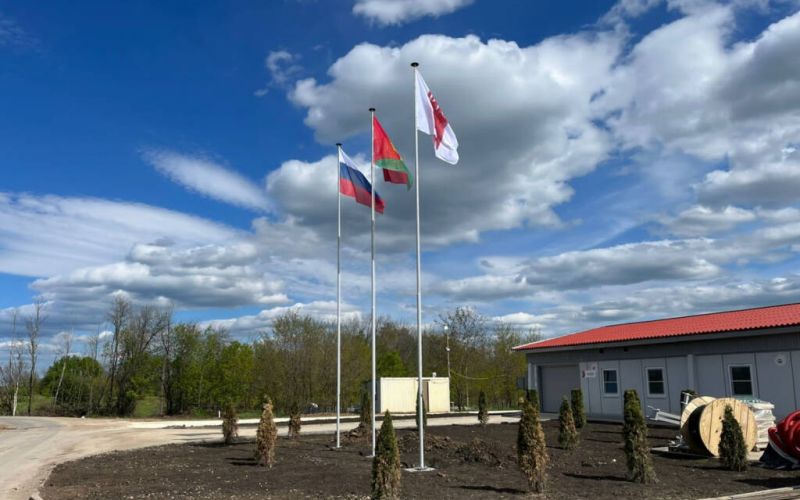 Генетика ПИК